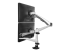 StarTech.com Desk Mount Dual Monitor Arm - Baksidan