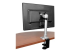 StarTech.com Monitor Desk Mount - Baksidan